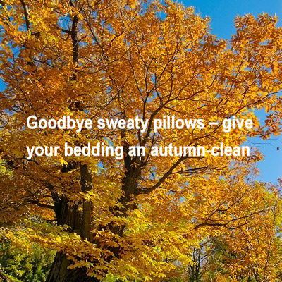 How Important to Have a Washable Pillow <br>Goodbye sweaty pillows – give your bedding an autumn-cle