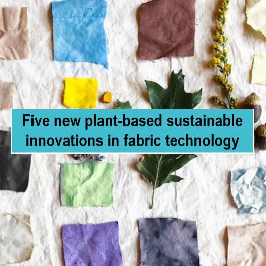 Five latest technologies and plant-based sustainable innovations in the textile and fabric domain